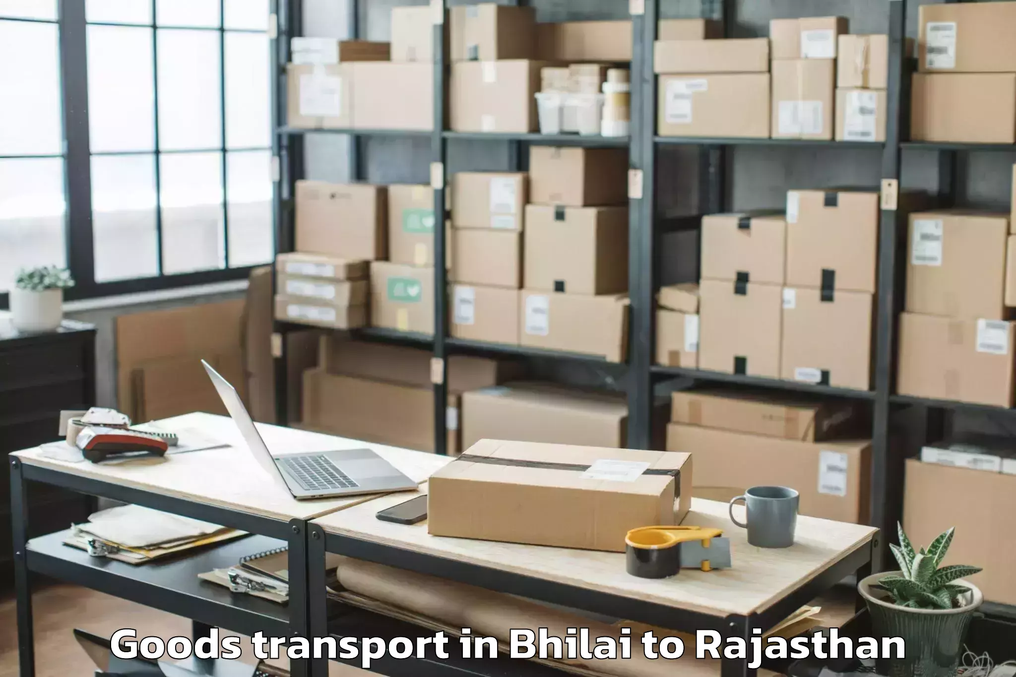 Easy Bhilai to Chaksu Goods Transport Booking